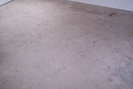 carpet clean 4