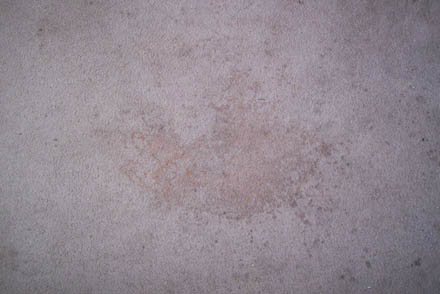 carpet clean 5