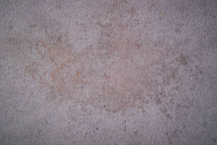 carpet clean 6