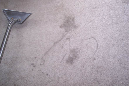 carpet clean 8