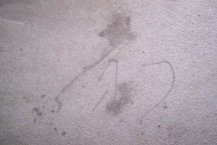 carpet clean 9