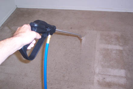 carpet clean 13