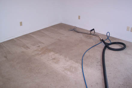 carpet clean 14