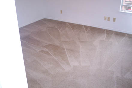 carpet cleaning 16