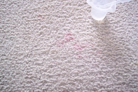 carpet cleaning 17