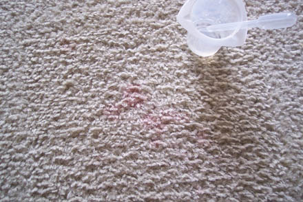 carpet cleaning 18