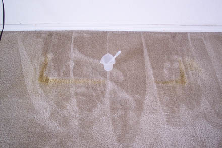 carpet cleaning 20