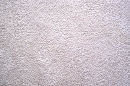 carpet cleaning 22