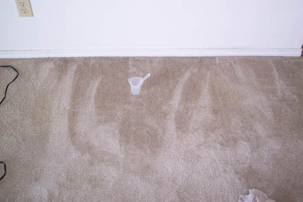 carpet cleaning 23