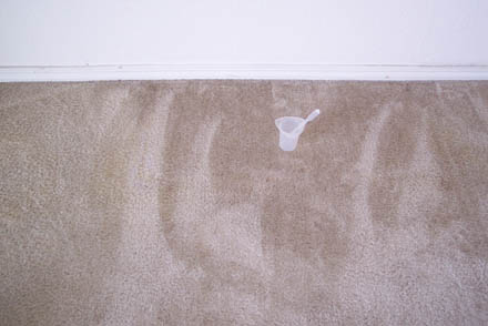 carpet cleaning 24