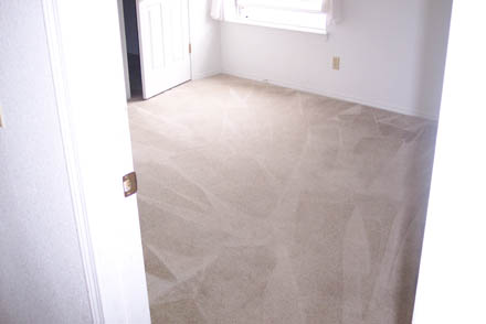 carpet cleaning 26