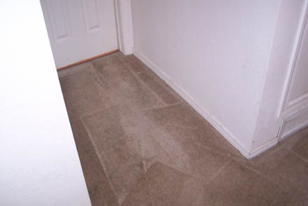 carpet cleaning 27