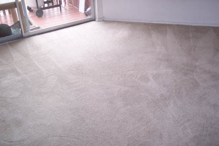 carpet cleaning 28