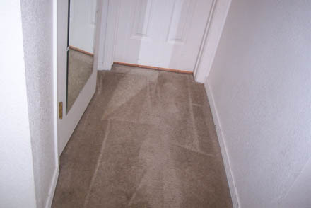 carpet cleaning 29