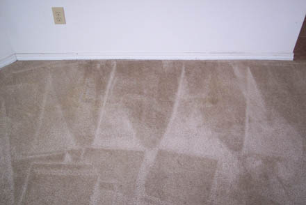 carpet cleaning 31