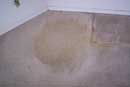 carpet cleaning 2