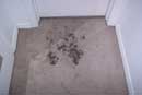 carpet cleaning 3
