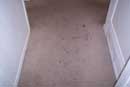 carpet cleaning 7