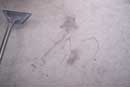 carpet cleaning 8