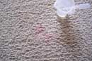 carpet cleaning 18