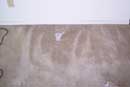carpet cleaning 23