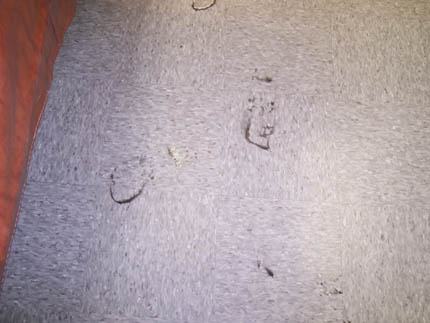 office clean 15