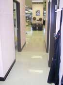 salon 19