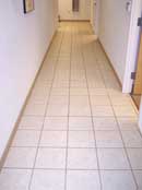 tile cleaning 15